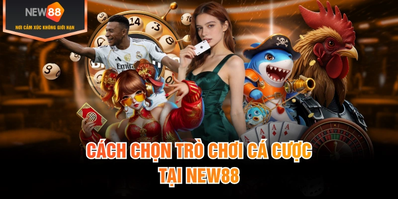 Cách chọn trò chơi cá cược tại New88
